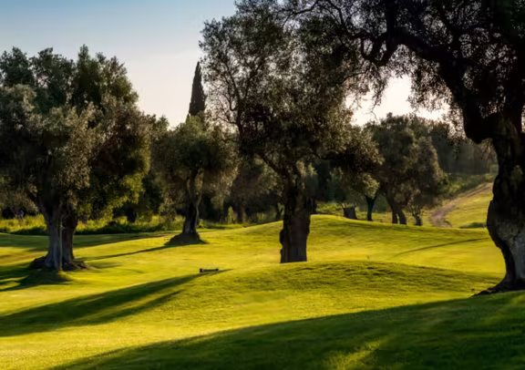 Image Quinta de Cima Golf